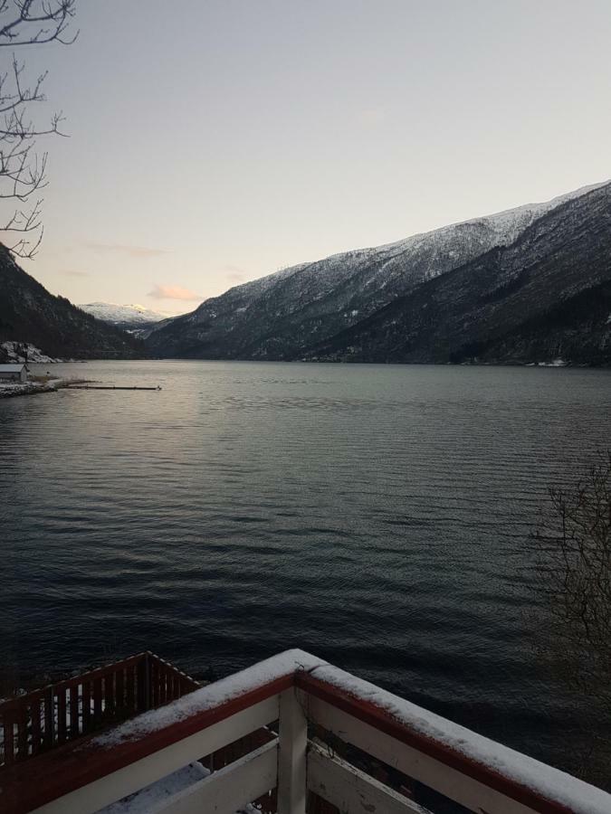 Bazyl * Folkedal